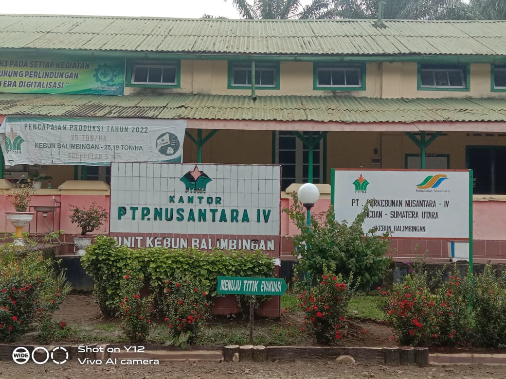 Penuturan Kakek 84 Tahun, Penggarap Pertama Lahan PTPN IV Kebun Balimbingan