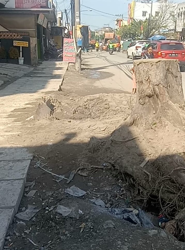 Banyak Pohon Pinggir Jalan Hilang di Medan Denai Akibat Proyek Drainase