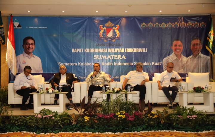 Kesempatan Investasi di Sumut Cukup Besar, Ijeck Harap Sinergi dengan Kadin Diperkuat