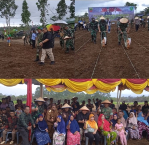 Ditengah Rintihan Hujan,Kasdam I/BB Tanam Bibit Jagung Bersama Bupati Tapsel Dan Unsur Forkopimda Di Wilayah Kodim 0212/TS