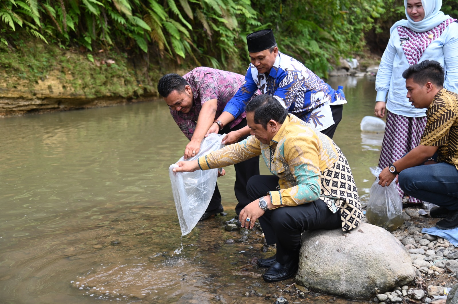 Walikota Padang Sidempuan Irsan Efendi NasutionÂ  Tebar Benih ikan Nila dan ikan Mas di Lubuk Larangan Panyanggar
