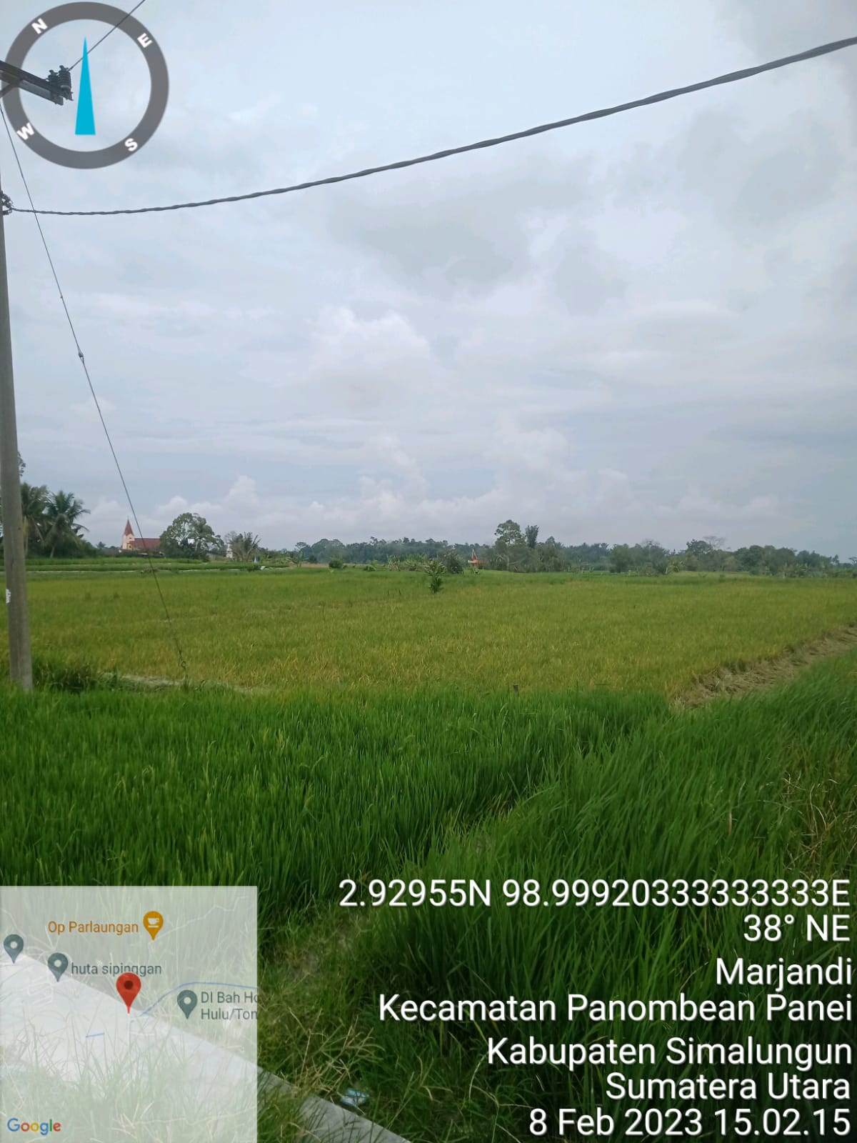 Terkait Serangan Hama Tikus di Simalungun POPT-PHP Propinsi Langsung Meninjau