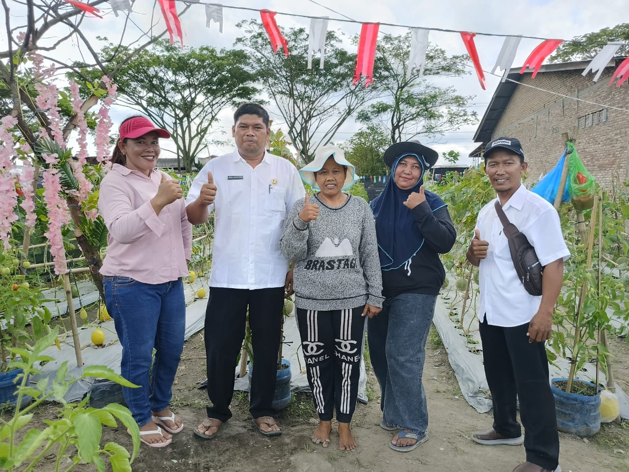 Desa Sidomulyo Labuhanbatu Kembangkan Tanaman Melon, Gerakan Pekarangan Hasilkan Cuan