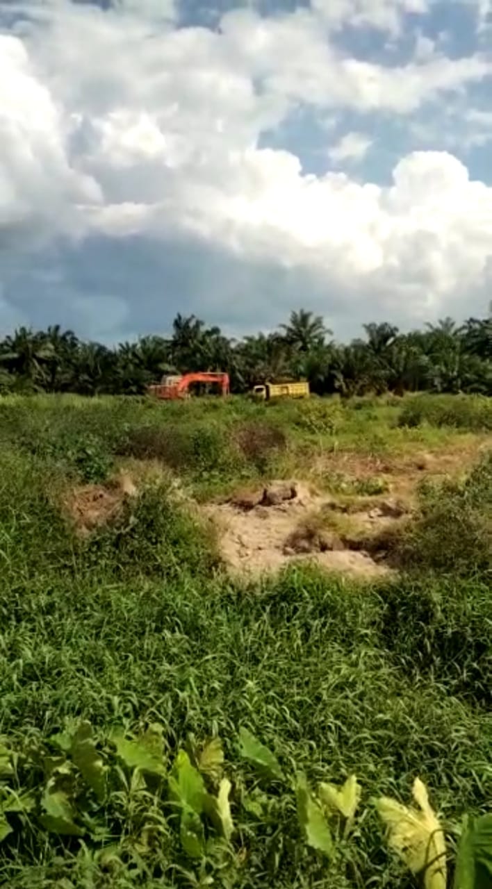 Kodim 0208/AS Aktif Dukung Program Ketahanan Pangan Dengan Program Luas Lahan Tanam Pangan