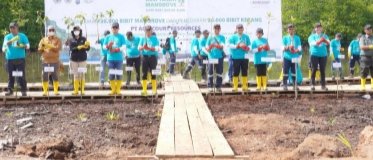 Lestarikan Wilayah Pesisir Tapanuli Tengah Agincourt Resources Tanam 30.000 Bibit Mangrove