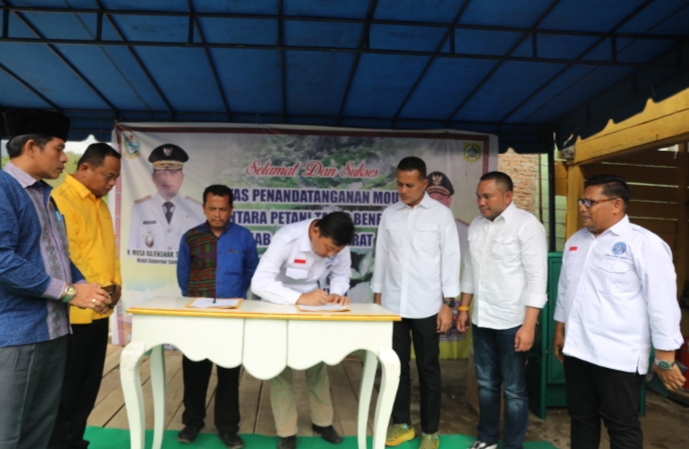 Diekspor ke Australia, Ijeck Minta Pemda dan Swasta Dorong Petani Tanam Talas Beneng