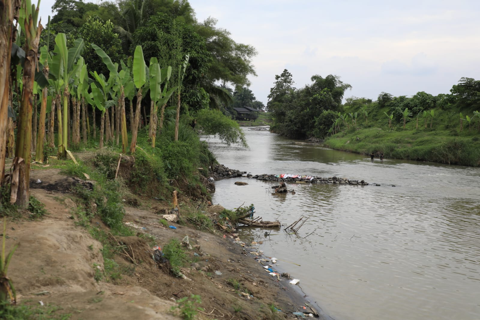 Kelurahan Sunggal Berupaya Buat Taman Edukasi dan Rekreasi di Pinggiran Sungai Belawan Â 