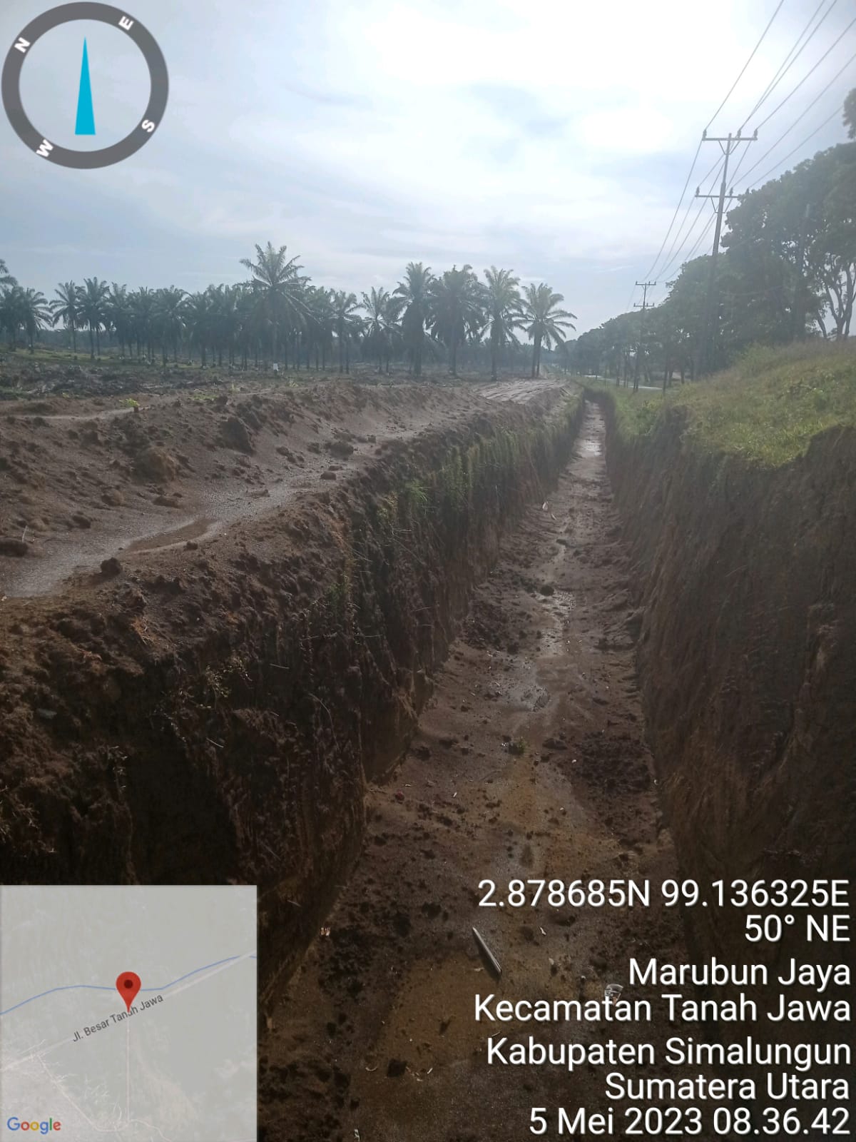 Replanting PTPN lV kebun Balimbingan 