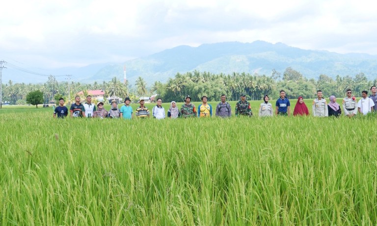 Kota Solok merupakan daerah yang mempunyai komoditi unggulan