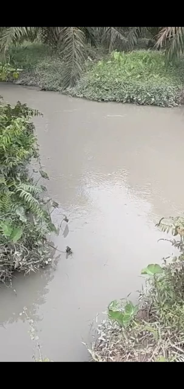 Warga Resah, PKS PMKS RGM 1 Diduga Buang Limbah ke Aliran Sungai Hingga Bau dan Keruh