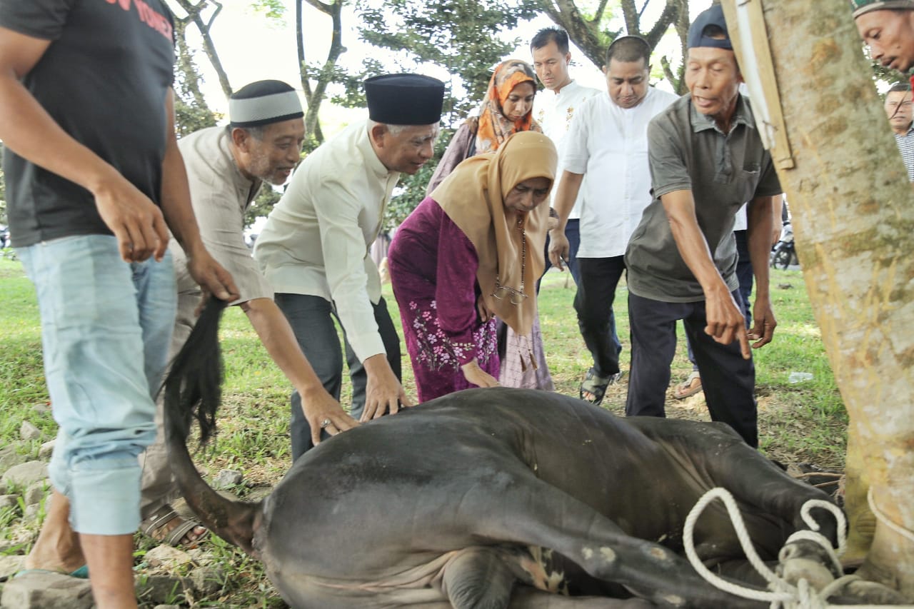 Idul Adha 1444 H, Pemkab Asahan Sembelih 125 Hewan Qurban