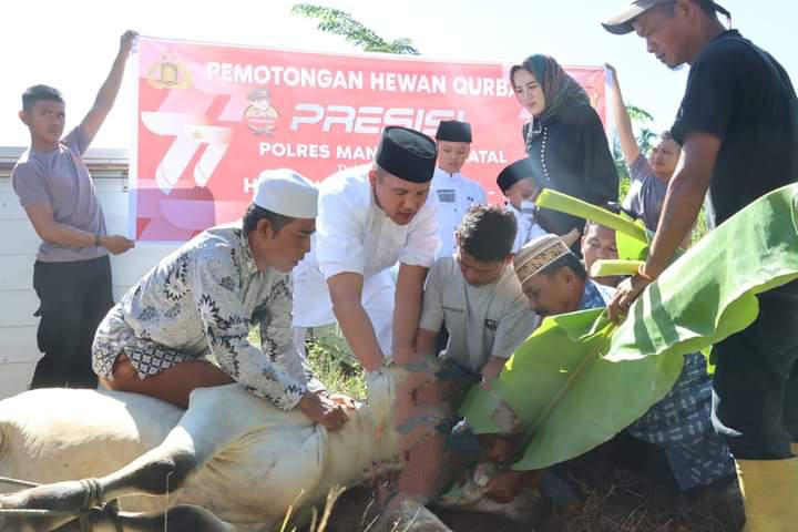 Polres Madina Rayakan Idul Adha dan Potong Hewan Qurban 1443 H / 2023 M,Ini Keterangan Kapolres AKBP Reza CAS