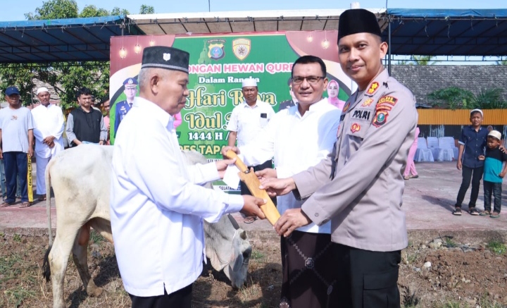 Kapolres Tinjau Penyembelihan Hewan Kurban Polres Tapsel di Aspol Sitataring