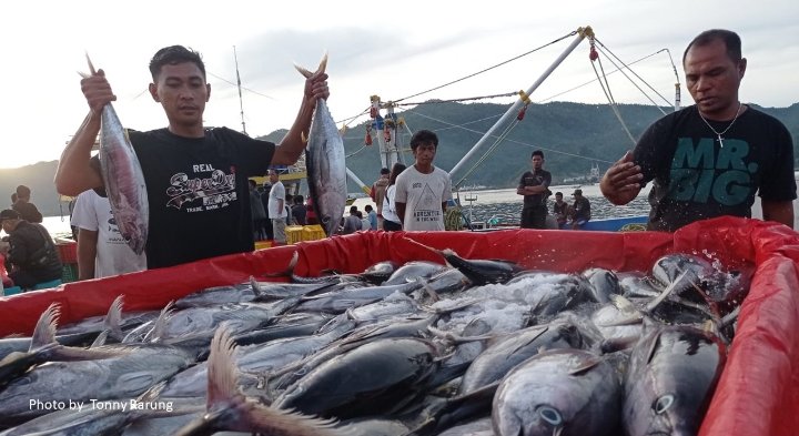 Nelayan Ternyata Minati Sistem Resi Gudang, Makanya Registrasi Resi Gudang Komoditas Ikan Meningkat Tajam
