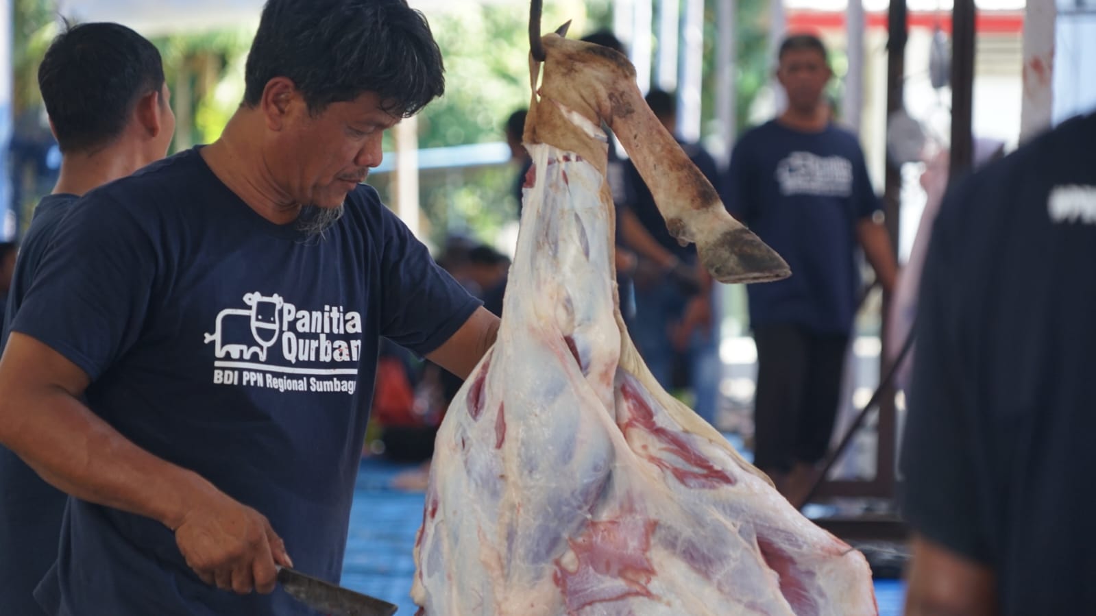 Pertamina Patra Niaga Regional Sumbagut Salurkan 87 Hewan Kurban