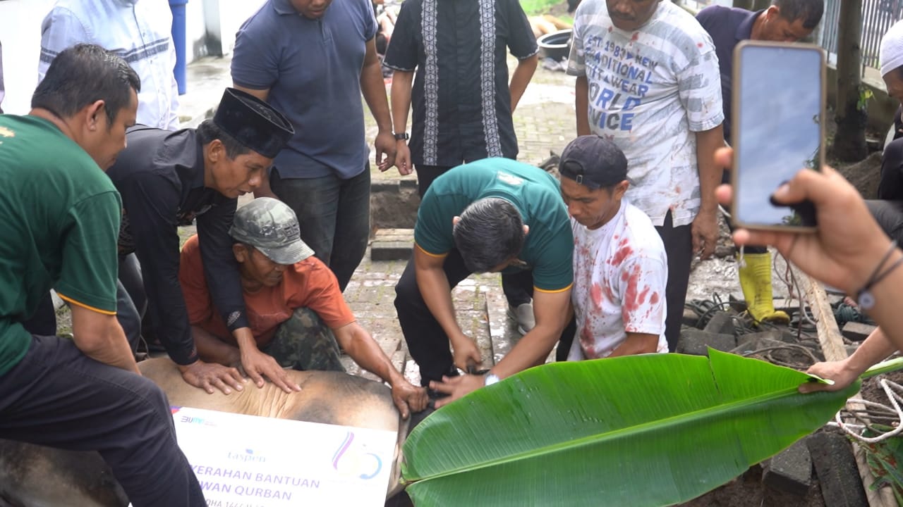 BKAD dan Dishub Sumut Berbagi Hewan Kurban kepada Masyarakat