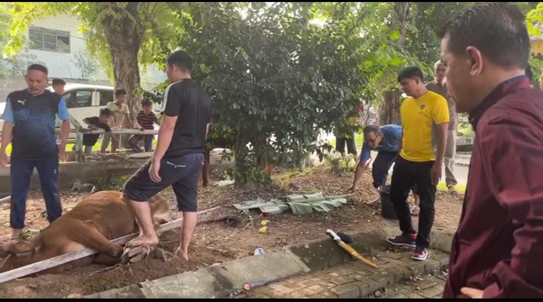 Idul Adha 1444 H, Dishub Medan Sembelih 14 Ekor Lembu dan 2 Kambing