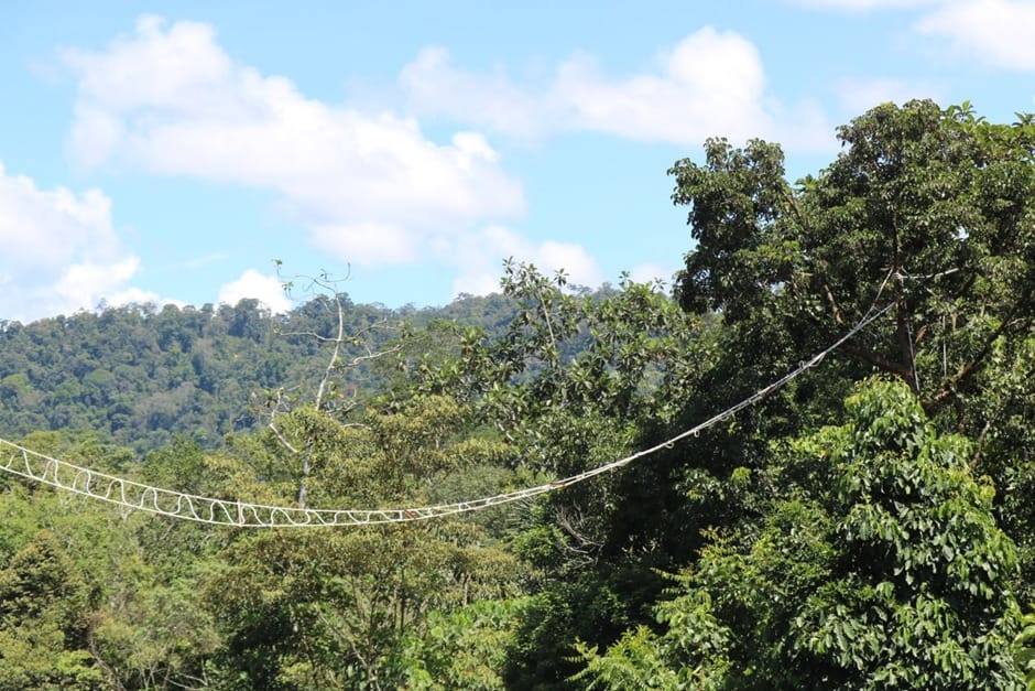 PT. North Sumatera Hydro Energy Melakukan Penambahan Titik Lokasi Jembatan Arboreal