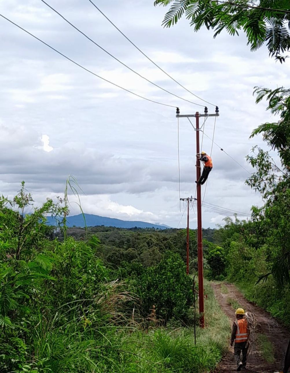 Melalui Program Listrik Pedesaan, 1.253 Pelanggan Daerah 3T di Sumatera Utara Kini Nikmati Listrik PLN