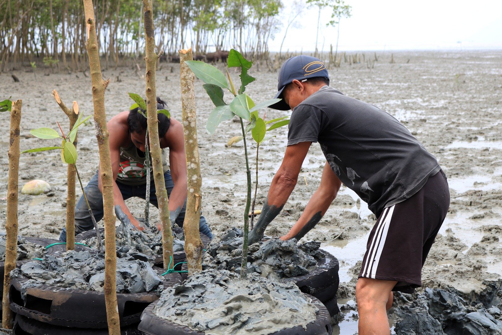 Inalum Dorong Mangrove, UMKM dan Industri Pariwisata di Pesisir Batubara