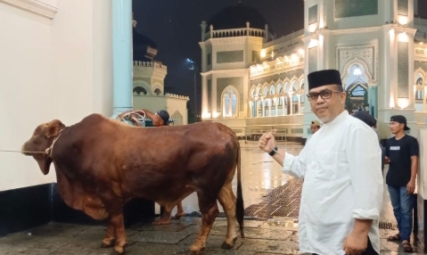 Gubsu Edy Rahmayadi Ikhlaskan 2 Sapi Peliharaan Kesayangannya Disembelih di Masjid Raya dan Al Jihad