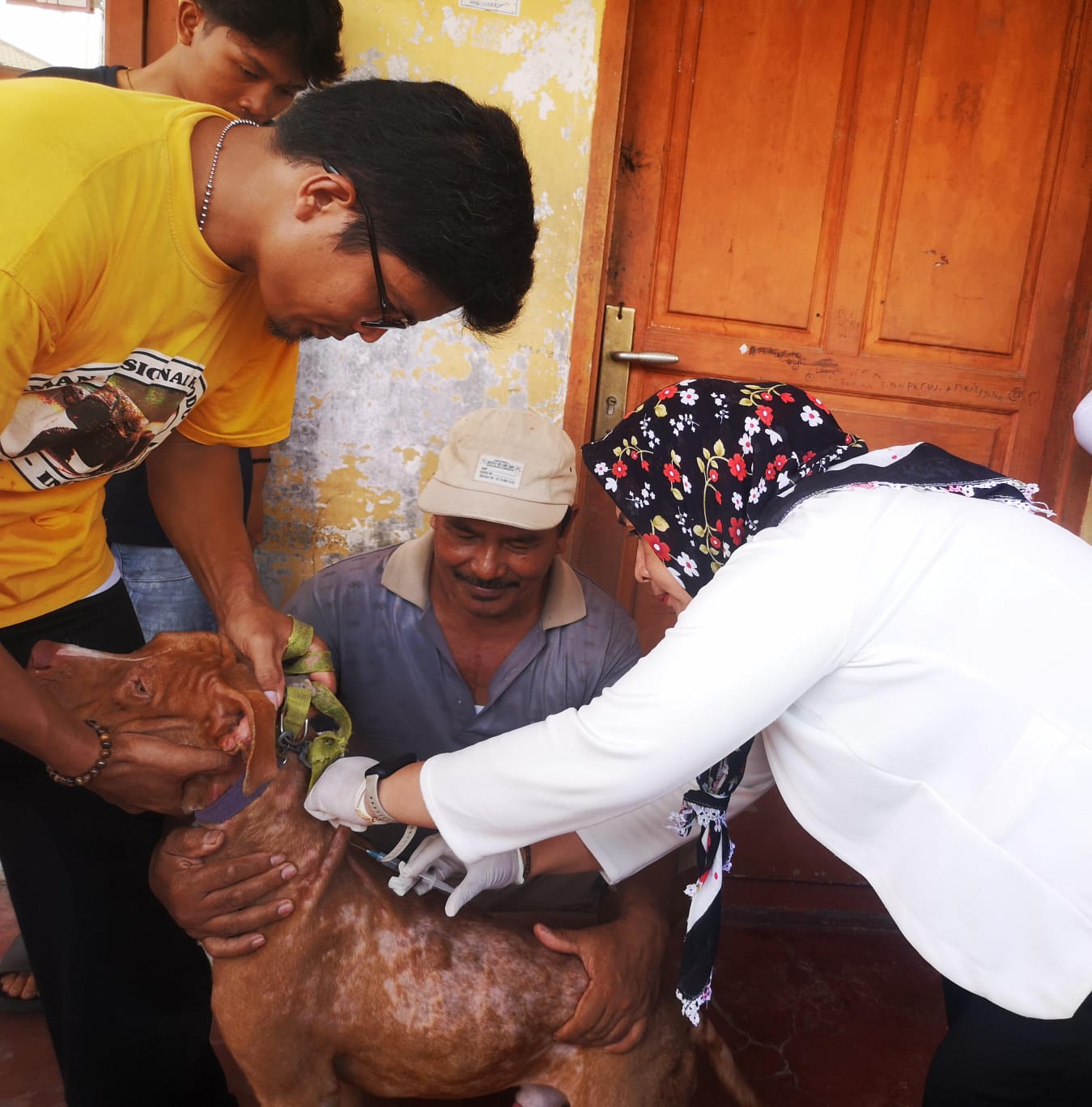 Pemko Medan Lakukan Penyuntikan Vaksin Rabies Terhadap Hewan Peliharaan Masyarakat