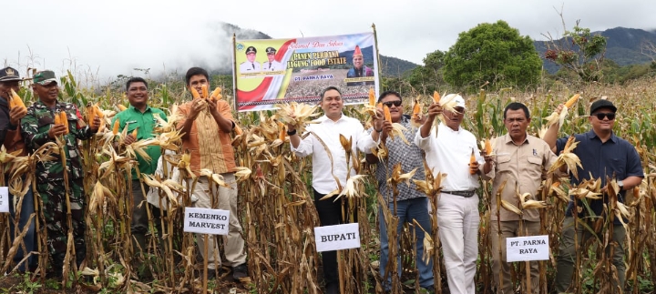 Bupati Pakpak Bharat Panen Perdana Jagung Food Estate di Ulumerah Kec,Julu