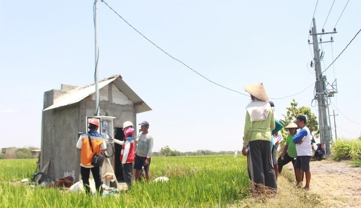 Pertanian Modern Berbasis Listrik Kian Berkembang, Program Electrifying Agriculture PLN Tumbuh 22,28 Persen