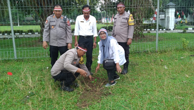 Kapolsek Pulau Rakyat Tanam 100 Batang Jenis Pohon Mahoni