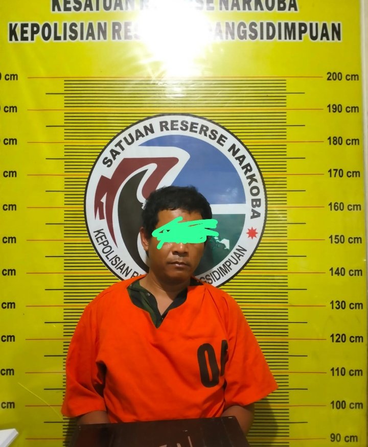 Pengedar Narkoba RH Ditangkap Sat Resnarkoba Polres Padangsidimpuan, Ini Penjelasan AKBP Dudung Setyawan