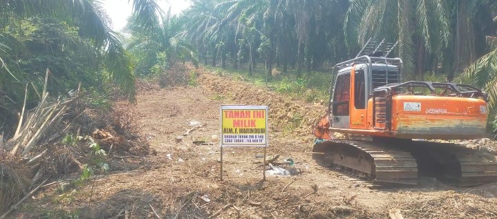Diiduga Oknum Aparat Desa Sihopuk Paluta Caplok Lahan Orang, APH Harap Periksa dan Tangkap