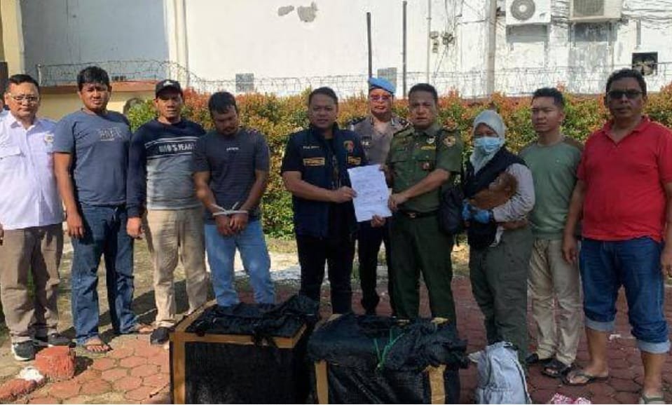 Otak Pelaku Perdagangan Satwa Dilindungi Ditangkap Polda Sumut di Aceh