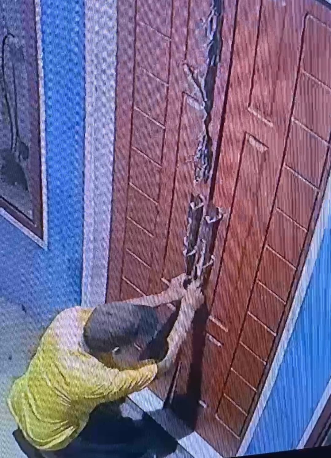 Maling Motor Bobol Rumah Terekam CCTV