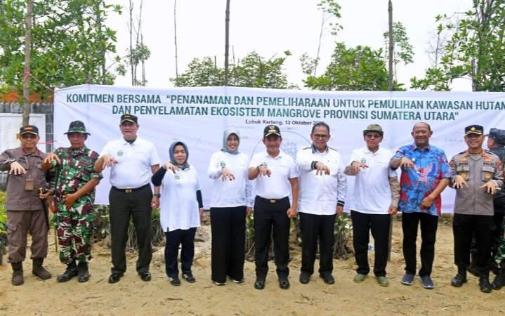 Pulihkan Hutan Mangrove,Pemprov Sumut Tanam 10 Ribu Bibit Mangrove