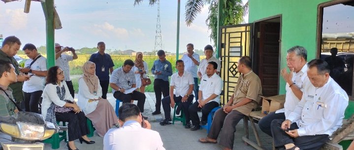Awasi Spekulan, KPPU Kanwil I Pantau Beras dari Pasar hingga Kilang Padi