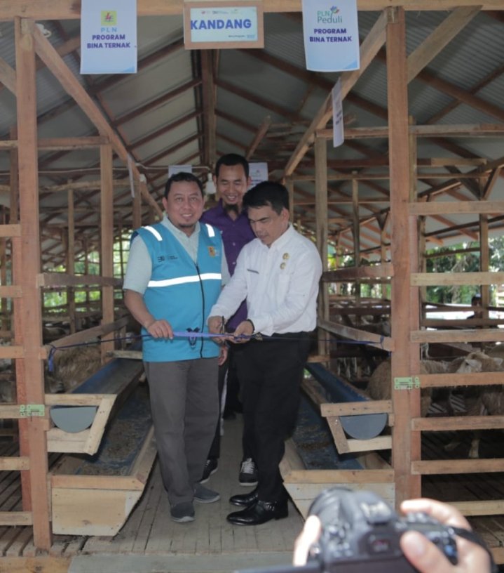 Dukung Peternak Milenial, PLN Peduli Serahkan Bantuan ke Kelompok Ternak Insani Farm