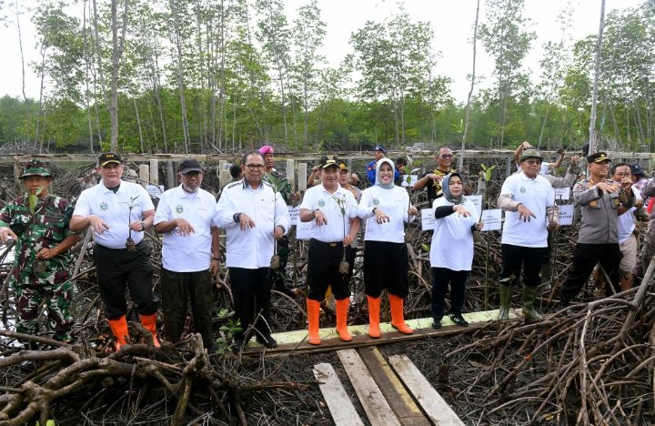 Pulihkan Hutan Mangrove, Pemprov Sumut Tanam 10 Ribu Bibit Mangrove