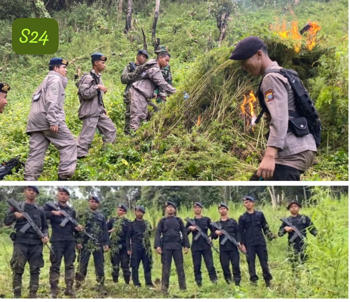 Dari Perburuan Narkoba, Polda Sumut Musnahkan 110 Ton Ganja