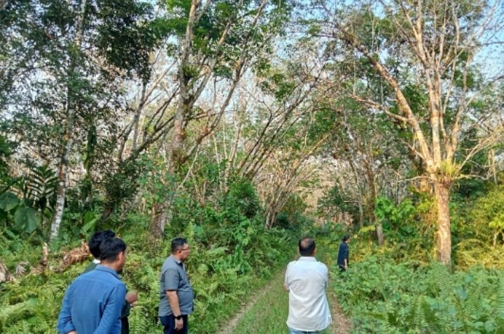 PTPN XIV Gencar Optimalkan Aset Lahan Menjadi Produktif