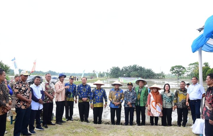 Deli Serdang Lumbung Pangan Sumatera Utara