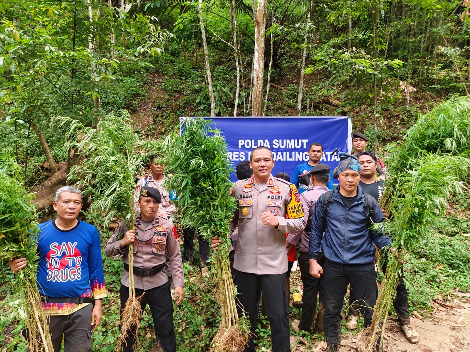 Kapolres Madina Pimpin Pemusnahan 5 Hektare Ladang Ganja di Tor Sihite