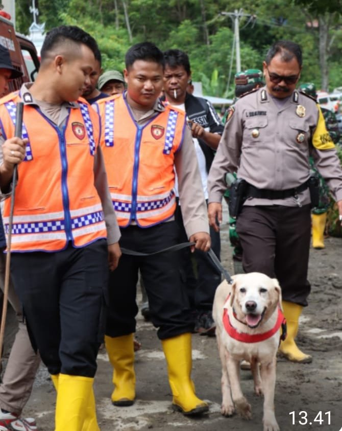 Bencana Alam Menerpa Humbahas, Polda Sumut Turunkan Anjing Pelacak Bantu Pencarian Korban LongsorÂ 