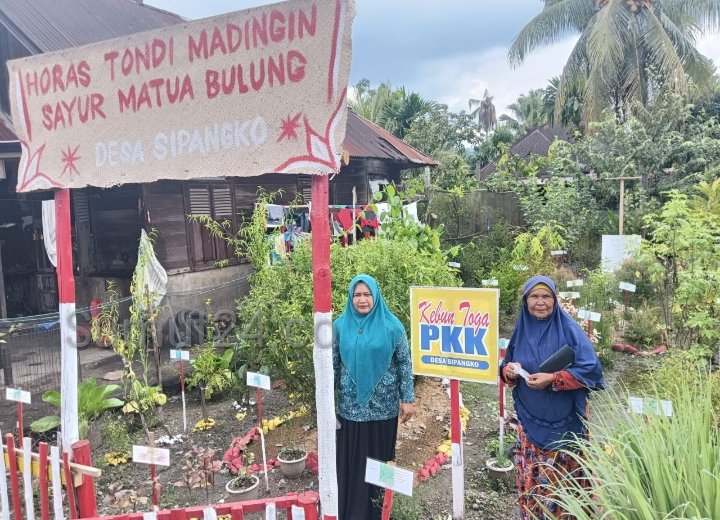 Tanaman Obat Keluarga PKK Desa Sipangko Sumber Kesehatan Warga,Ini Keterangan Kades Azan Sinaga