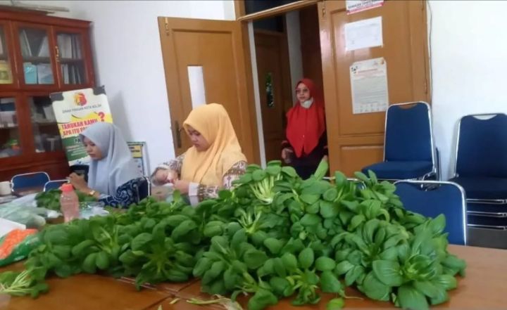 Pemanfaatan Gang Hijau Merupakan Salah Satu Upaya Percepatan Penganekaragaman konsumsi Pangan