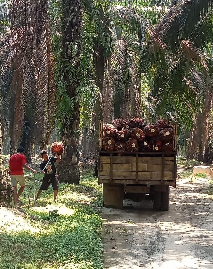 Diduga Persekong kolan jahat atara Meneger dan Rekanan / Vendor ada Kerjasama