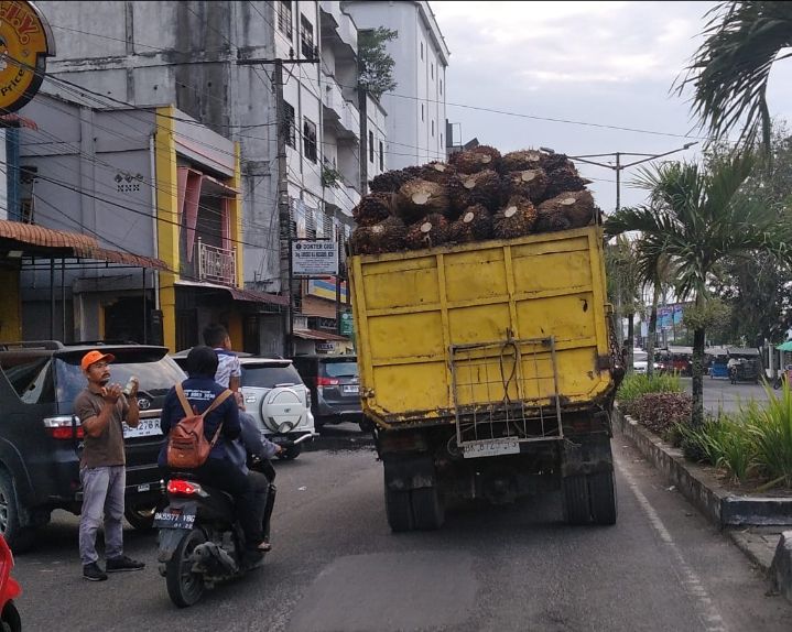 Bahaya! Pak Polisi Tolong Tertibkan Truk Sawit Tanpa Jaring Pengaman di Jalan Cokro-Imbon
