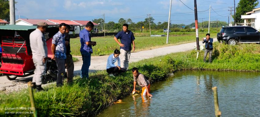 Akibat Tercemar Limbah Industri, Ribuan Ikan Mati di Laguboti