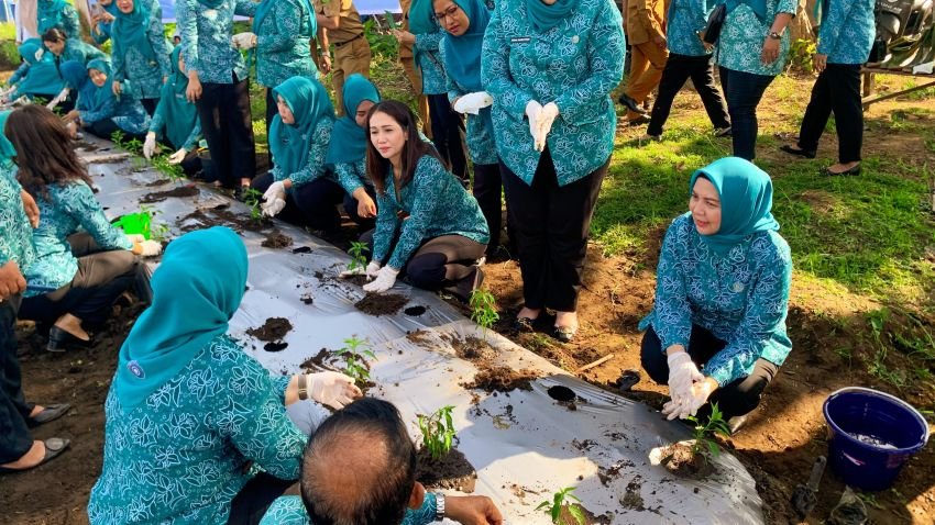 Memperingati HKG PKK ke-52, TP PKK Kota Medan Ikut Lakukan Penanaman Cabai secara Virtual
