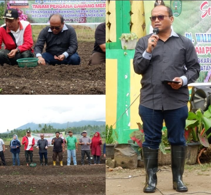 Pj. Walikota Letnan Dalimunthe Dukung Ketersedian Bibit Bawang Merah Dalam Rangka Kendalikan Inflasi Di Kota Padangsidimpuan