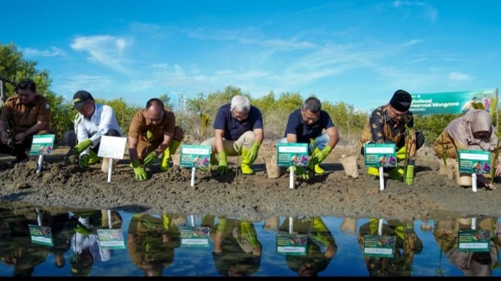 Indosat Ooredoo Hutchison Optimalkan Teknologi Untuk Konservasi Mangrove di Aceh